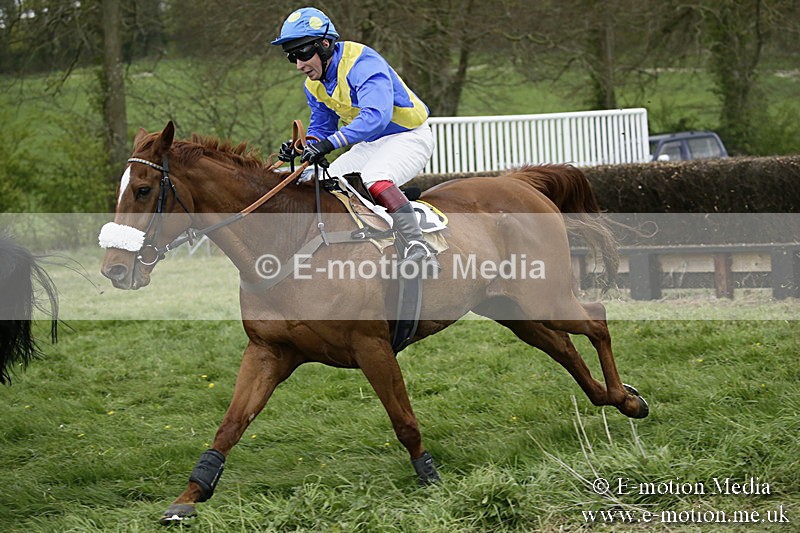 PtP 170417 543 - Old Berks Point-to-Point Lockinge 17/04/17