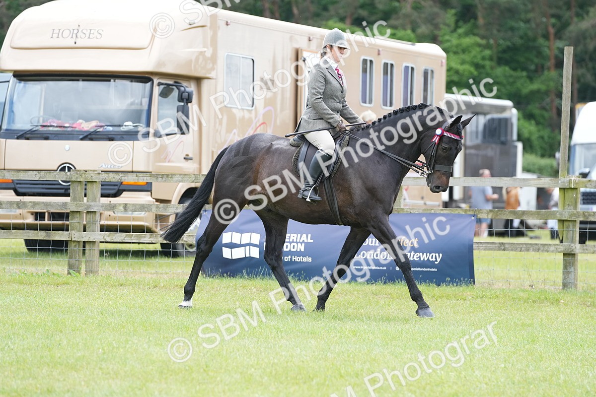 SBM_16145 - Class 105-106 - RIHS Riding Horses