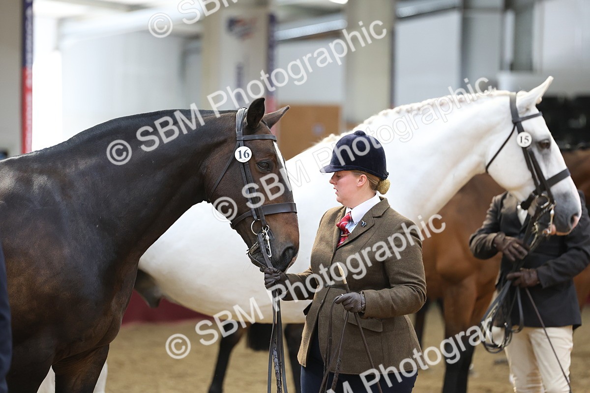 SBM_23367 - Class 903 - Supreme Final - IH Pre Vet