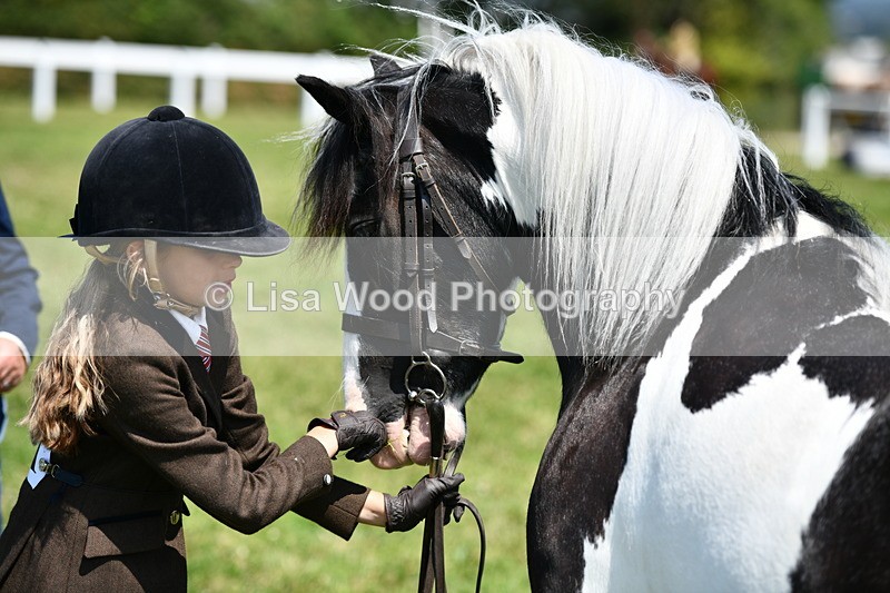 DSC_7676 - Class 64: Coloured Pony 4yrs & over