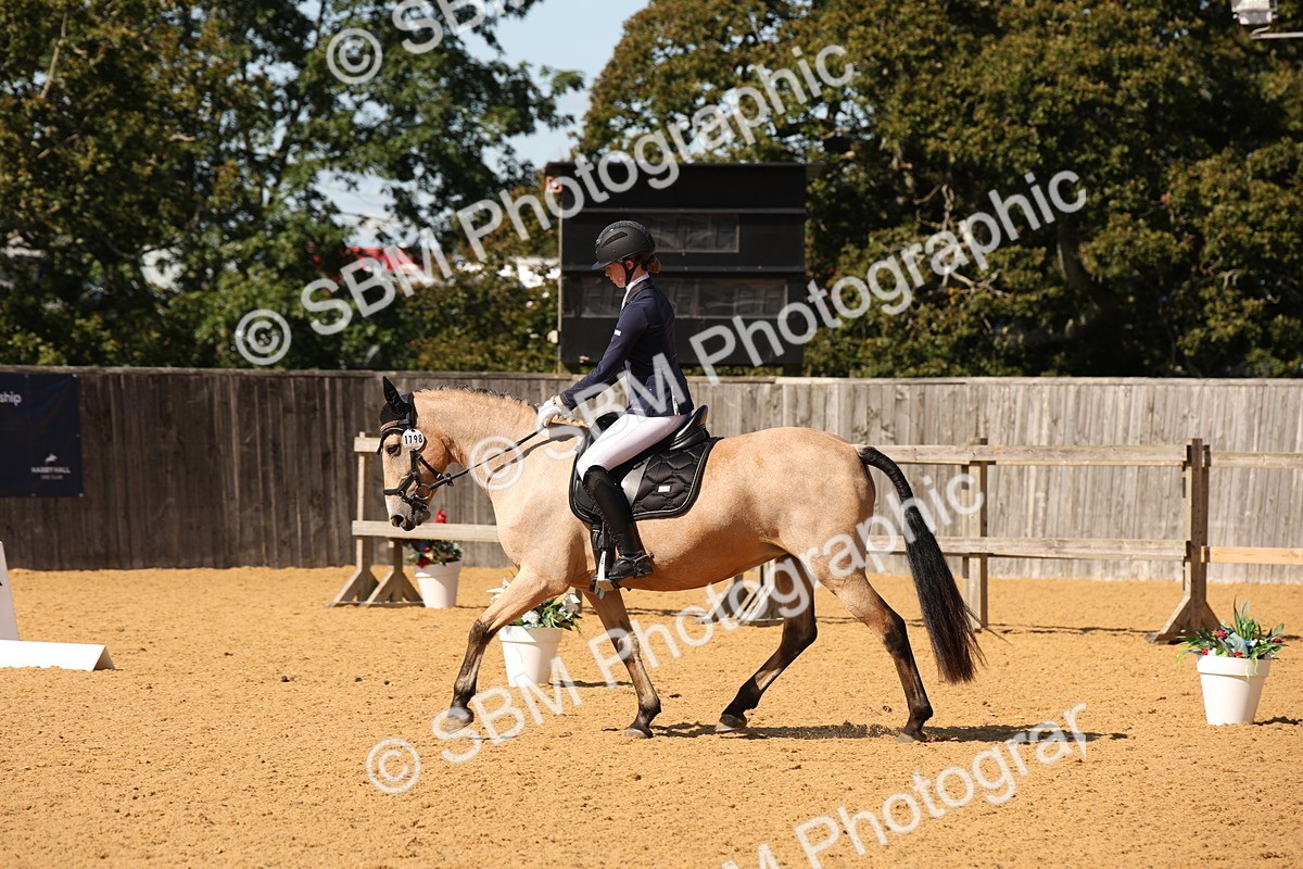 SBM_24155 - D5 - Small Tour Championship - Intro C