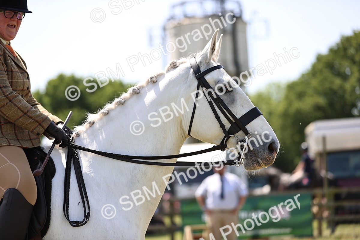 SBM_16142 - Class 79-80 - LIHS BSHA Rising Star Ridden Hunter