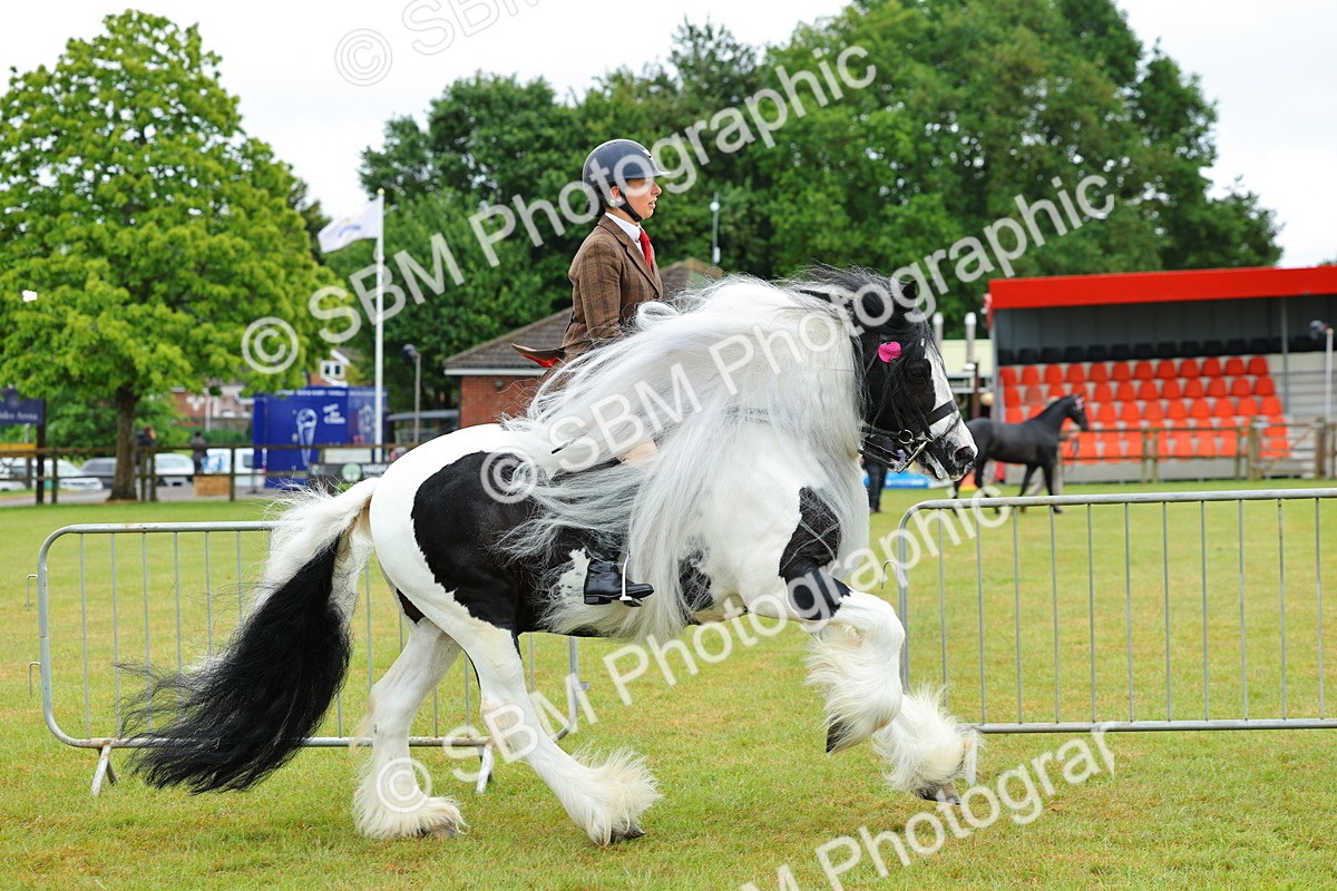 SBM_01180 - Class 1-4 - BSPA Ridden