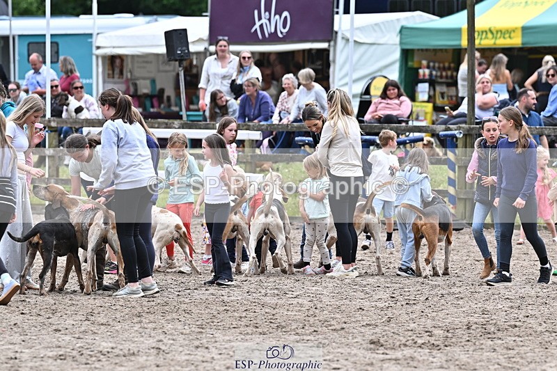 250524A-152435-12730 - East Devon Hounds