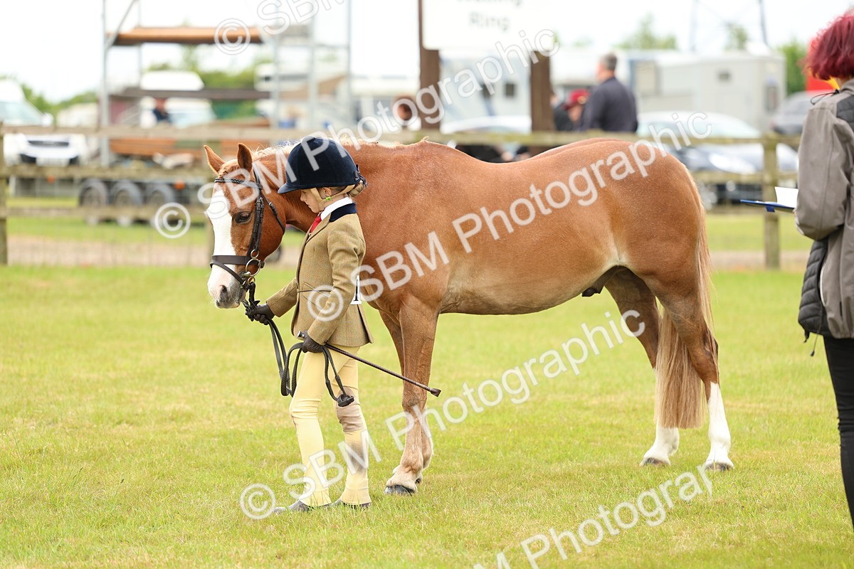 SBM_10261 - Class 44-45 - LIHS BSPS Open Nursery and Cradle Stakes