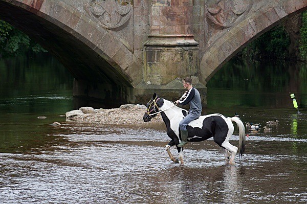  - Appleby Horse Fair