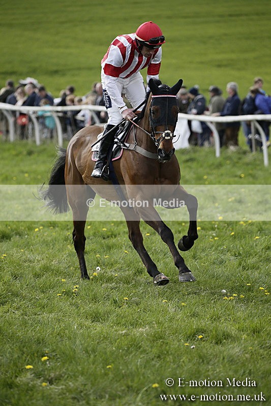 PtP 170417 421 - Old Berks Point-to-Point Lockinge 17/04/17