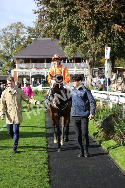 yr07102022r3-44 - Race 3 3.15pm British EBF £100,000 2yo Series Final (Colts and Geldings)