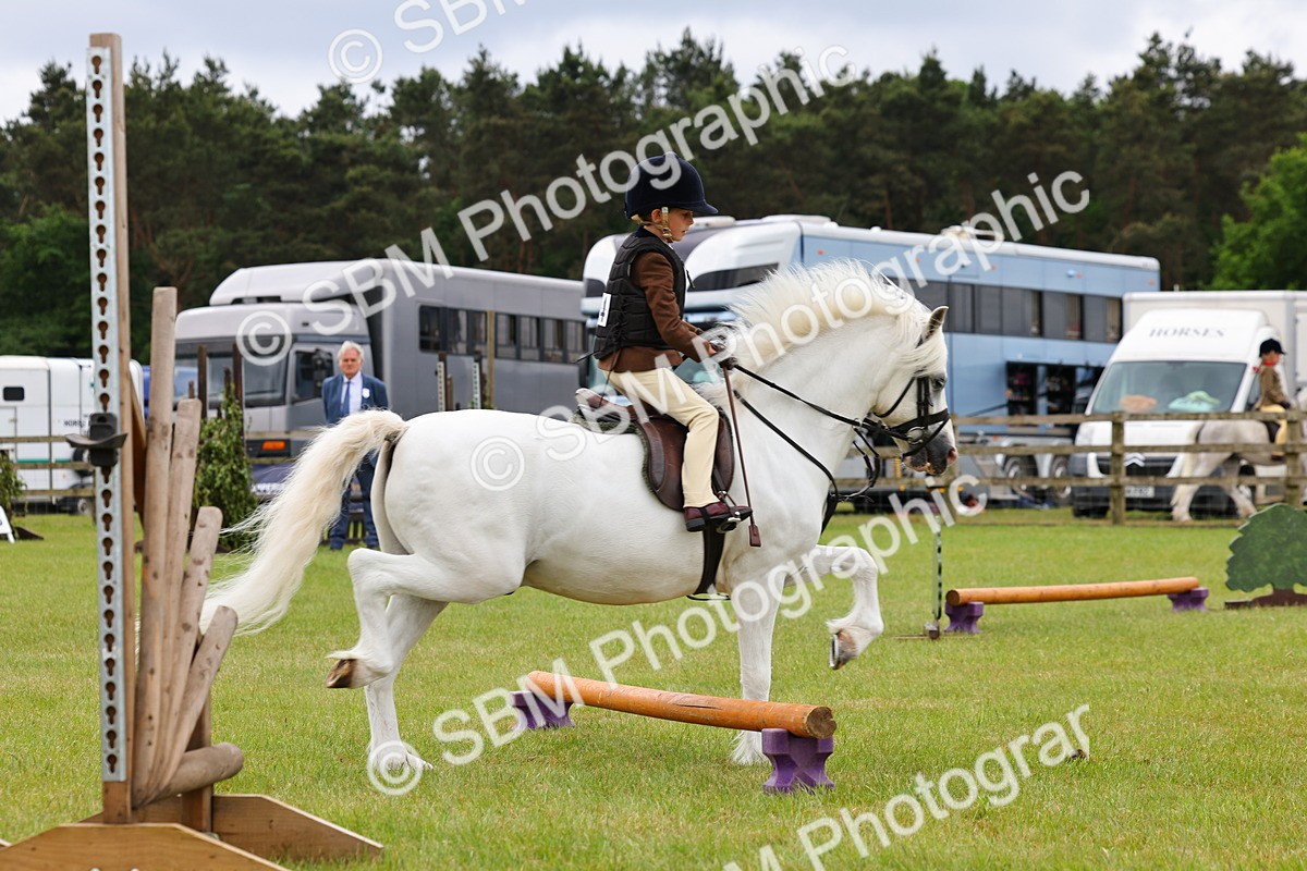 SBM_08688 - Class 42-43 - LIHS BSPS Heritage Working Sports Pony