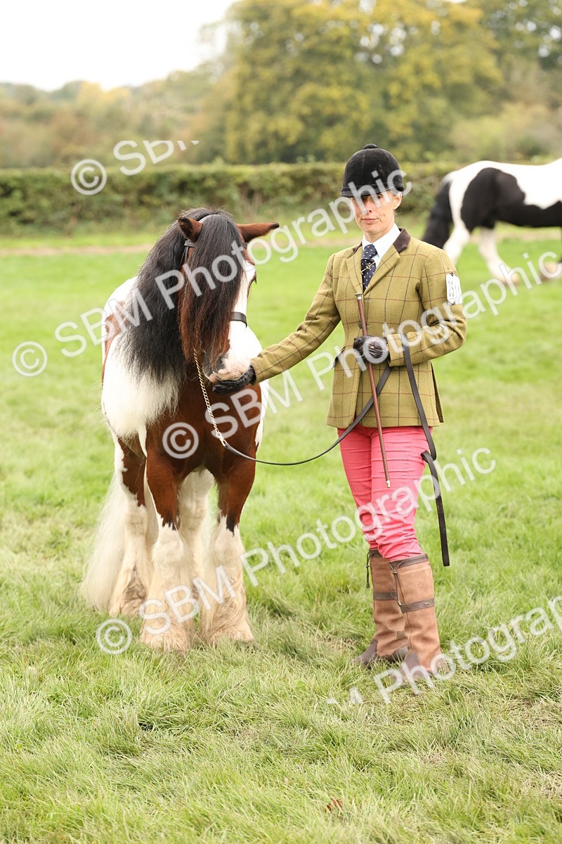 SBM_59356 - S57 - Traditional Cob In Hand