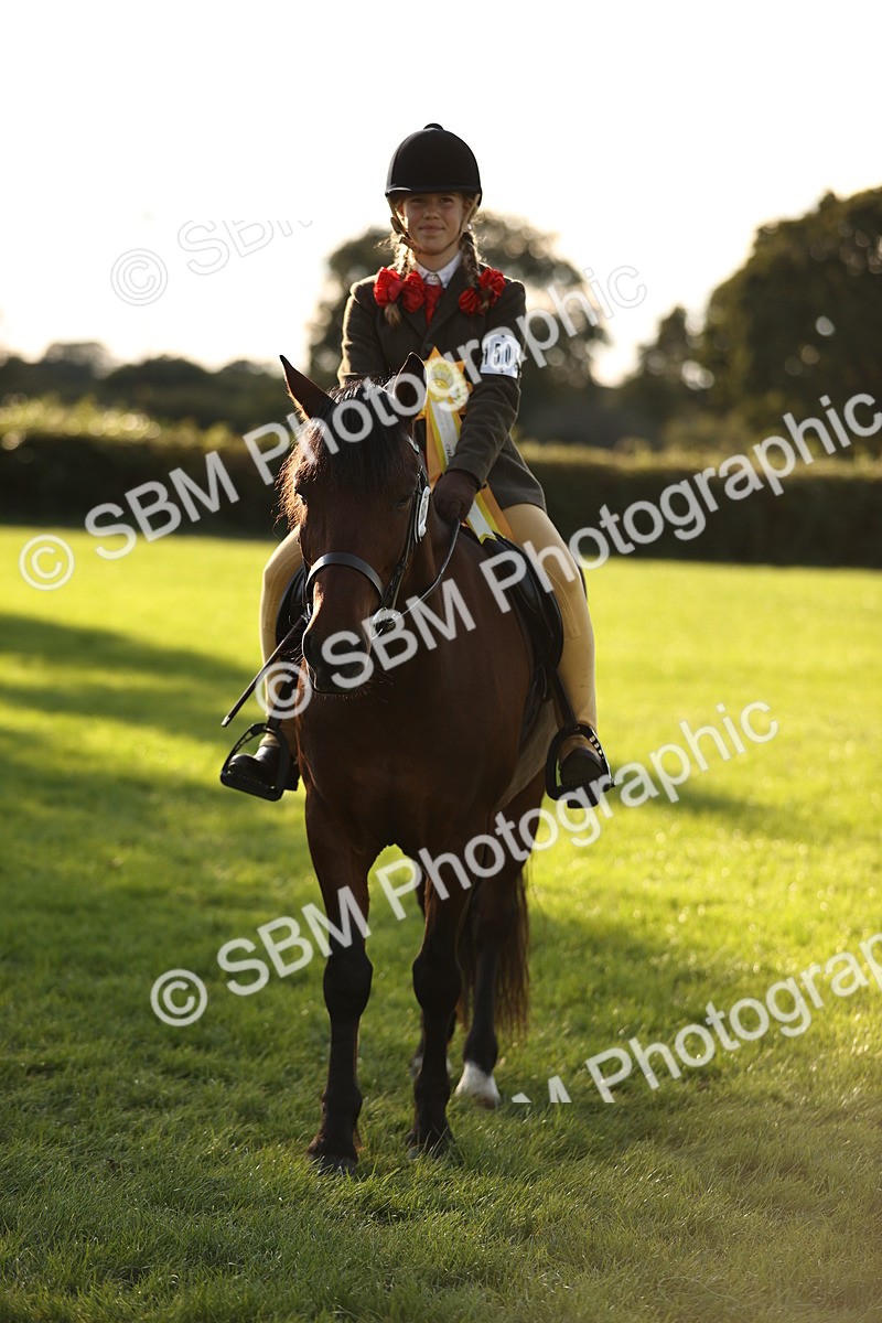 SBM_29499 - S7 - Novice & Newcomers Ridden Pony