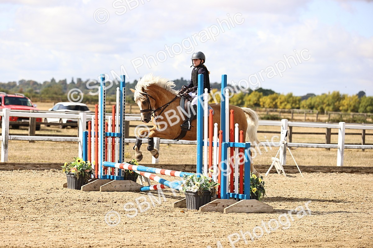 SBM_006462
