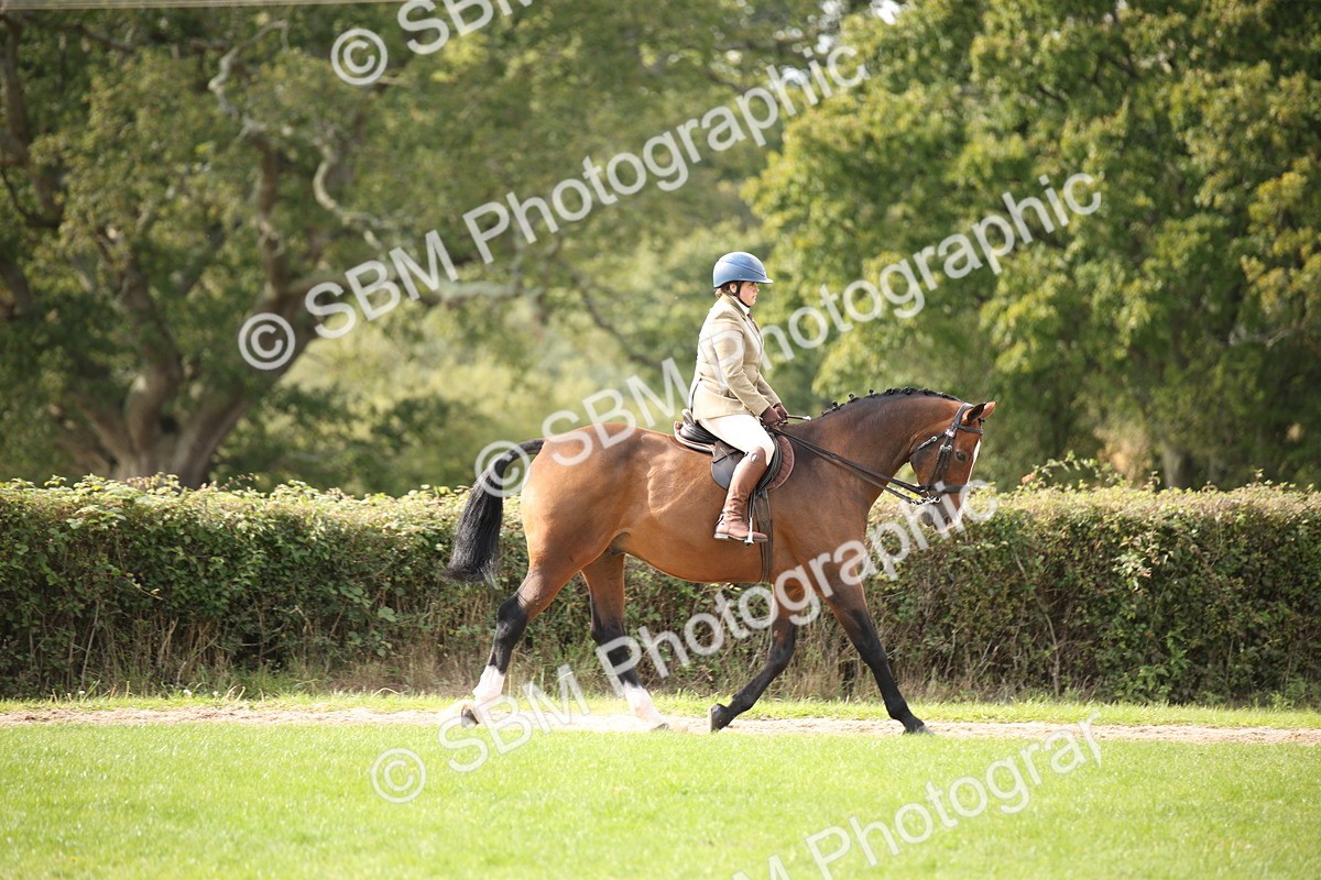 SBM_49969 - S26 - Young Veteran - Ridden