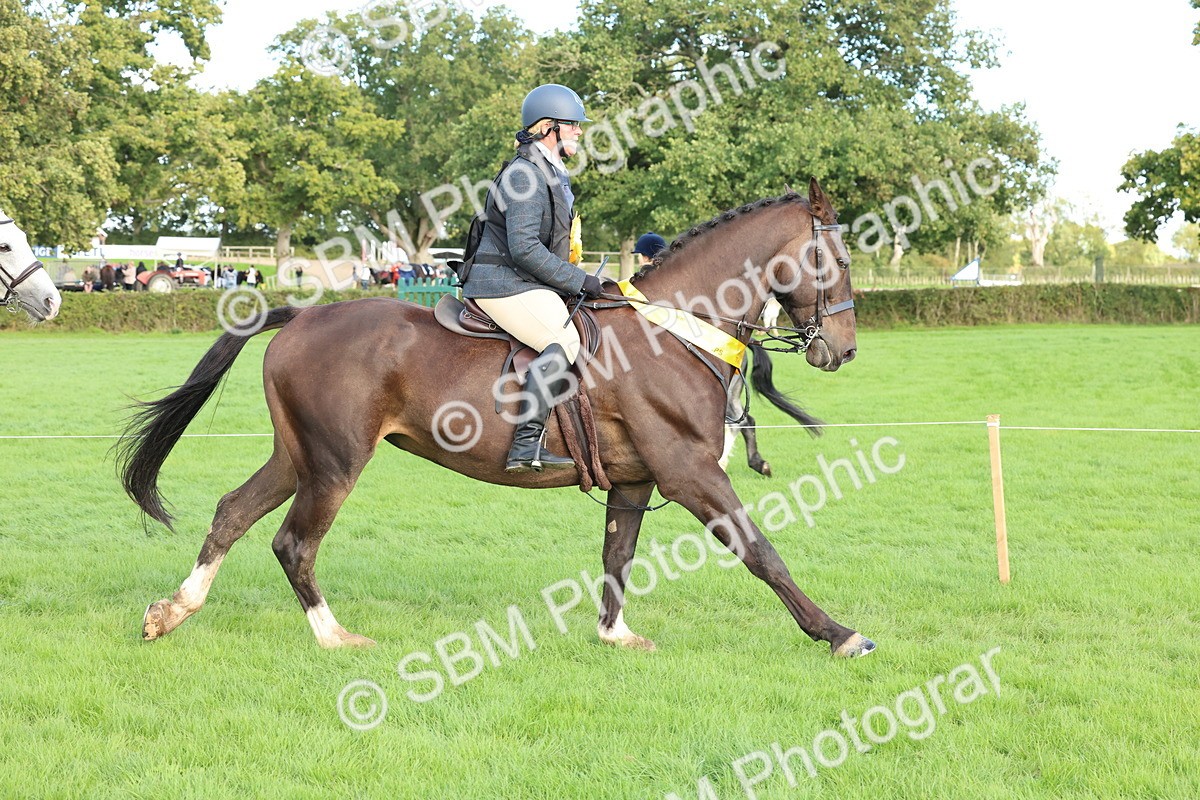 SBM_50215 - S34 - Novice & Newcomers Working Hunter