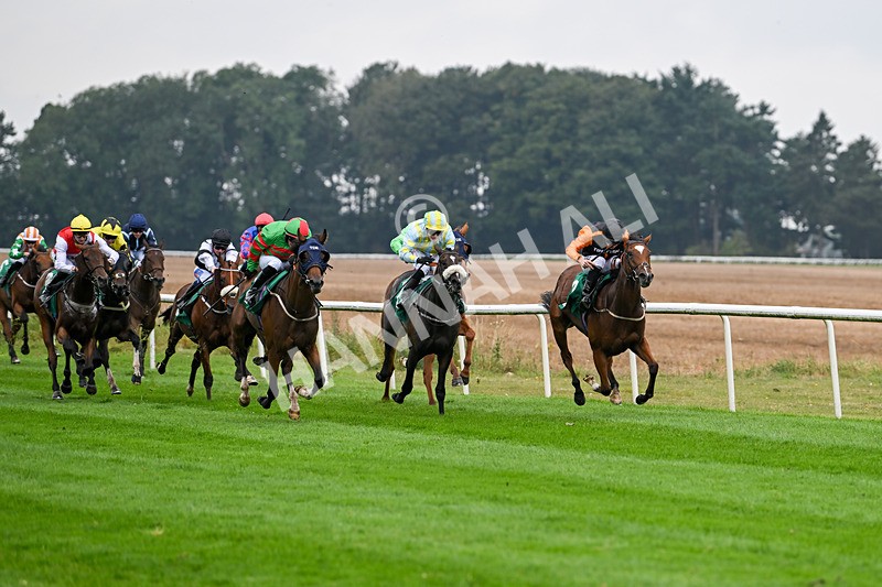 070924-Race 2-Cymbidium-7141 - Race 2