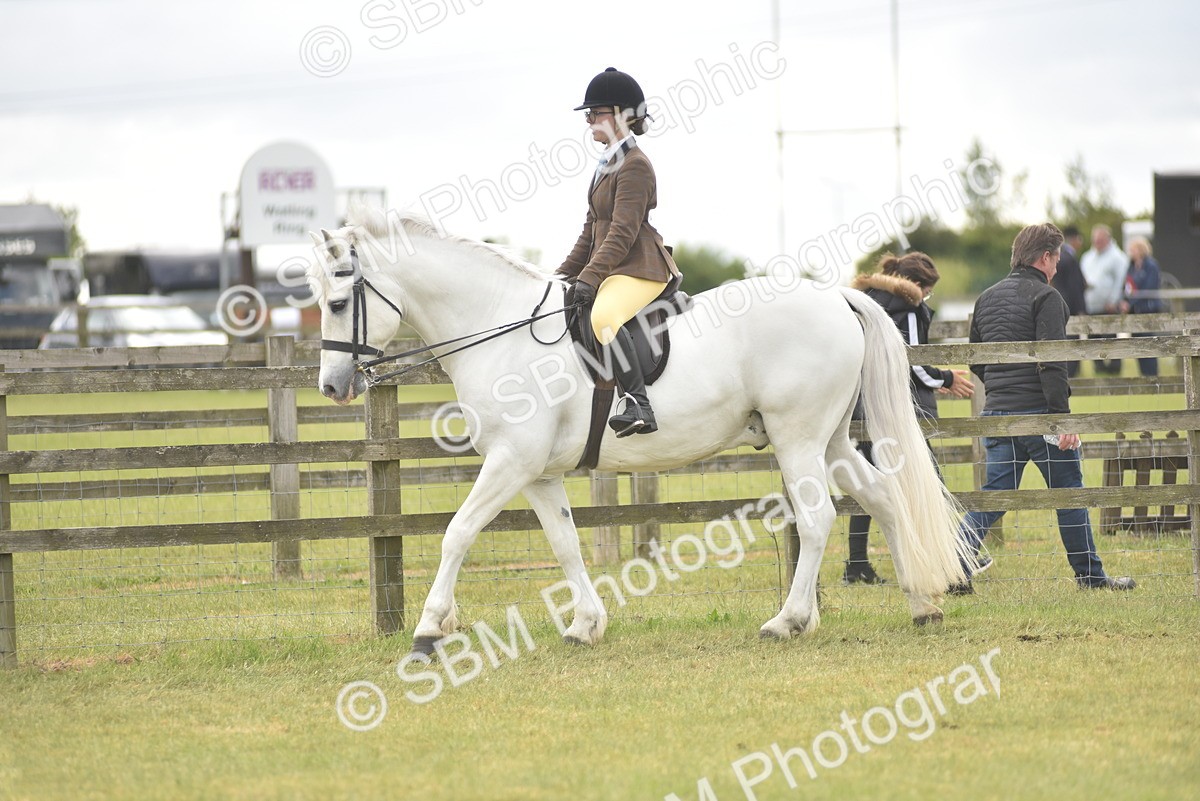 SBM_17743 - Class 122-123 - LIHS BHSA Raising Star Style and Performance Series