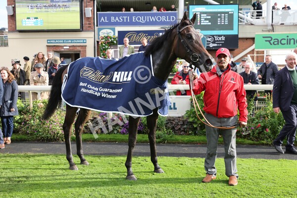 yr07102022r4-67 - Race 4 3.50pm William Hill Best Odds Guaranteed Stakes