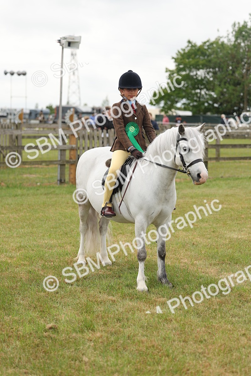 SBM_06909 - Class 74-75 - M&M Lead Rein and First Ridden Pony