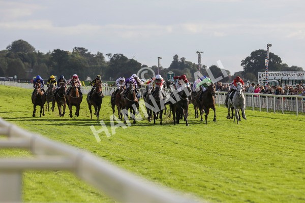 230923-Race 5-Vintage Clarets-5369 - Race 5 4.20pm Vickers.Bet Handicap
