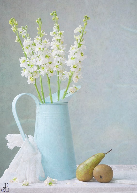 Memories of Summer - Still Life and Composites