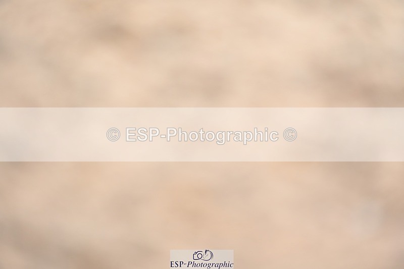 230813-134228-07631 - Cls 13 Medium Bronze 13.15 to End