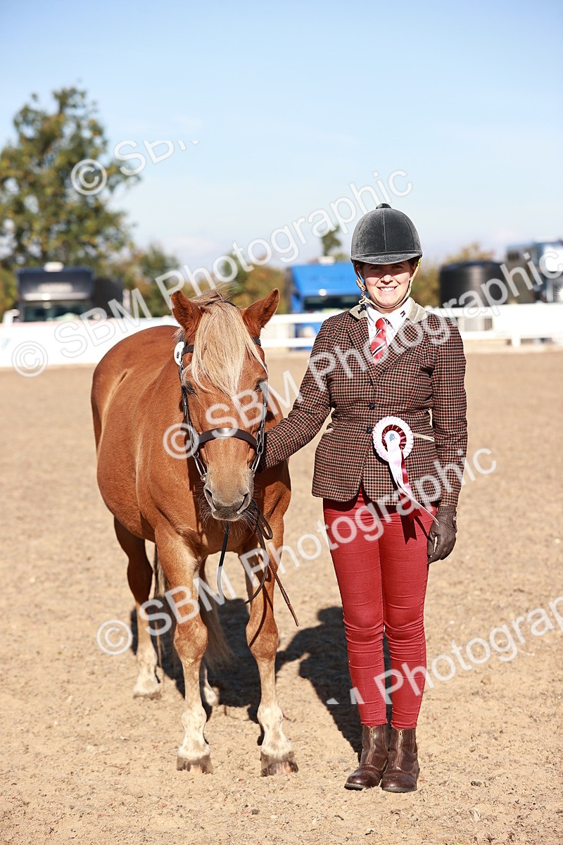 SBM_11468 - Class 402 - IH  Veteran pony