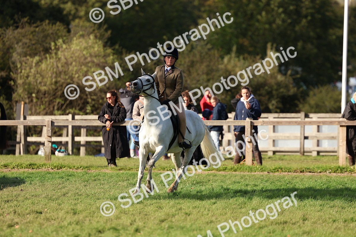 SBM_52513 - S13 - Pony Club Pony