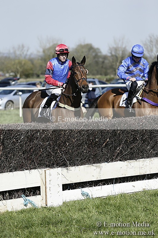 PtP 260317 162 - Mendip Farmers Point-to-Point Ston Easton 26/03/17