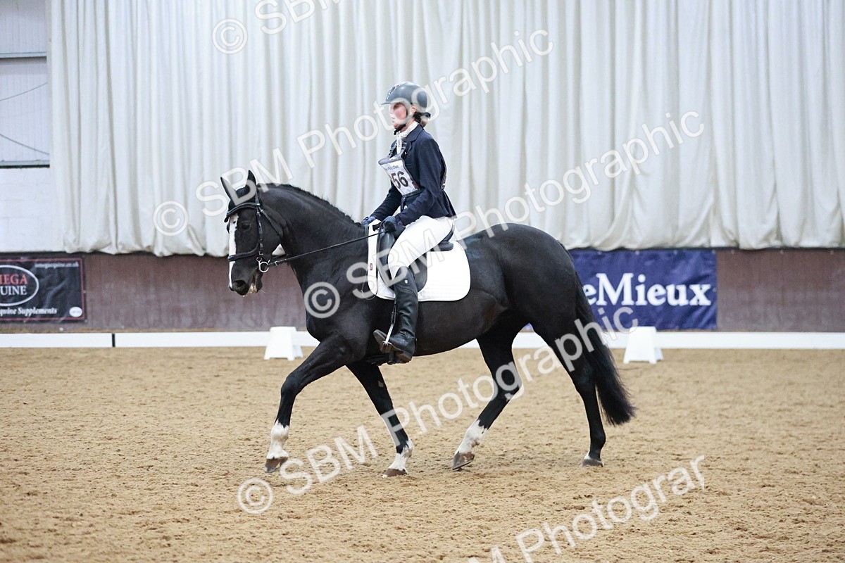 SBM_004630 - Ring 3 - International -  Working Hunter Classes 23-2-25