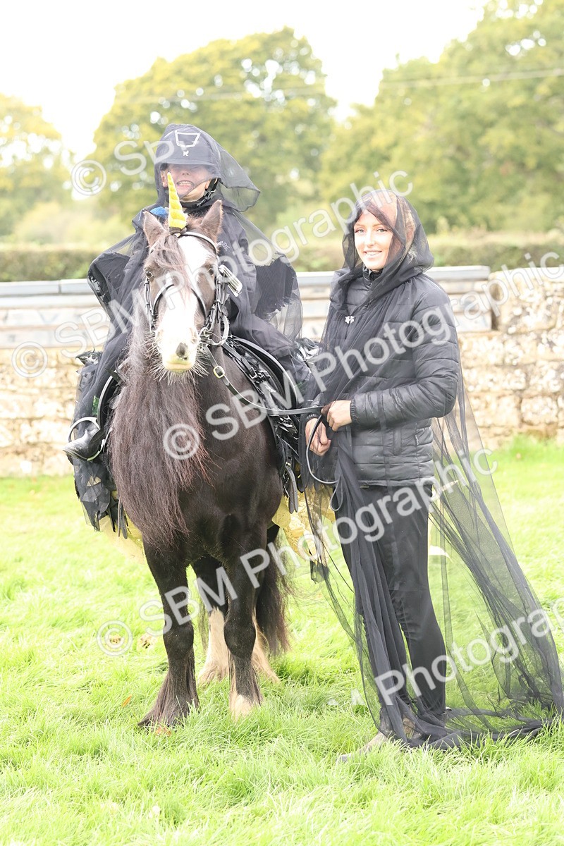 SBM_62184 - S37b - Best Unicorn