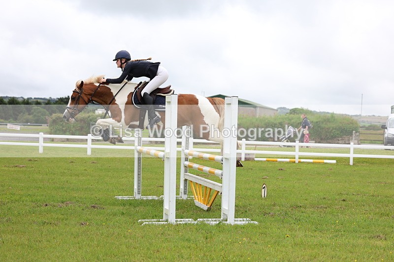 3E7A6722 - Class 10: Pony Newcomers/1m open