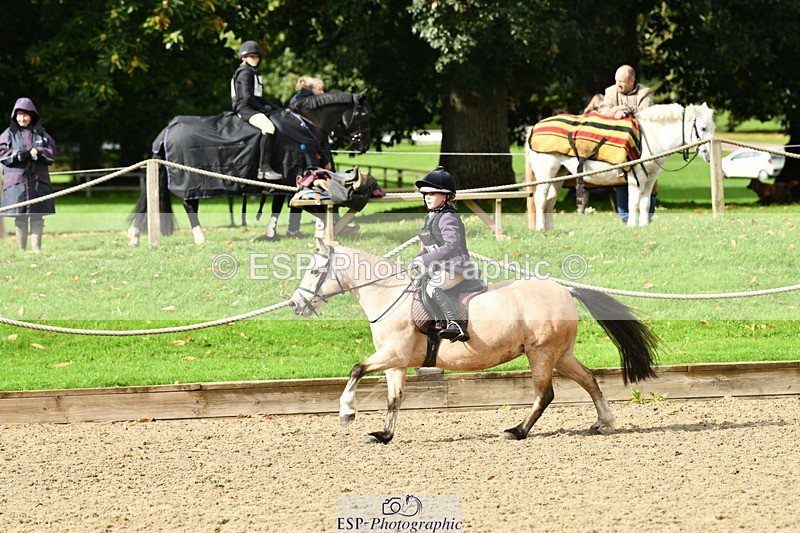 251004A-122029-01000 - Classes 4 & 5 50cm