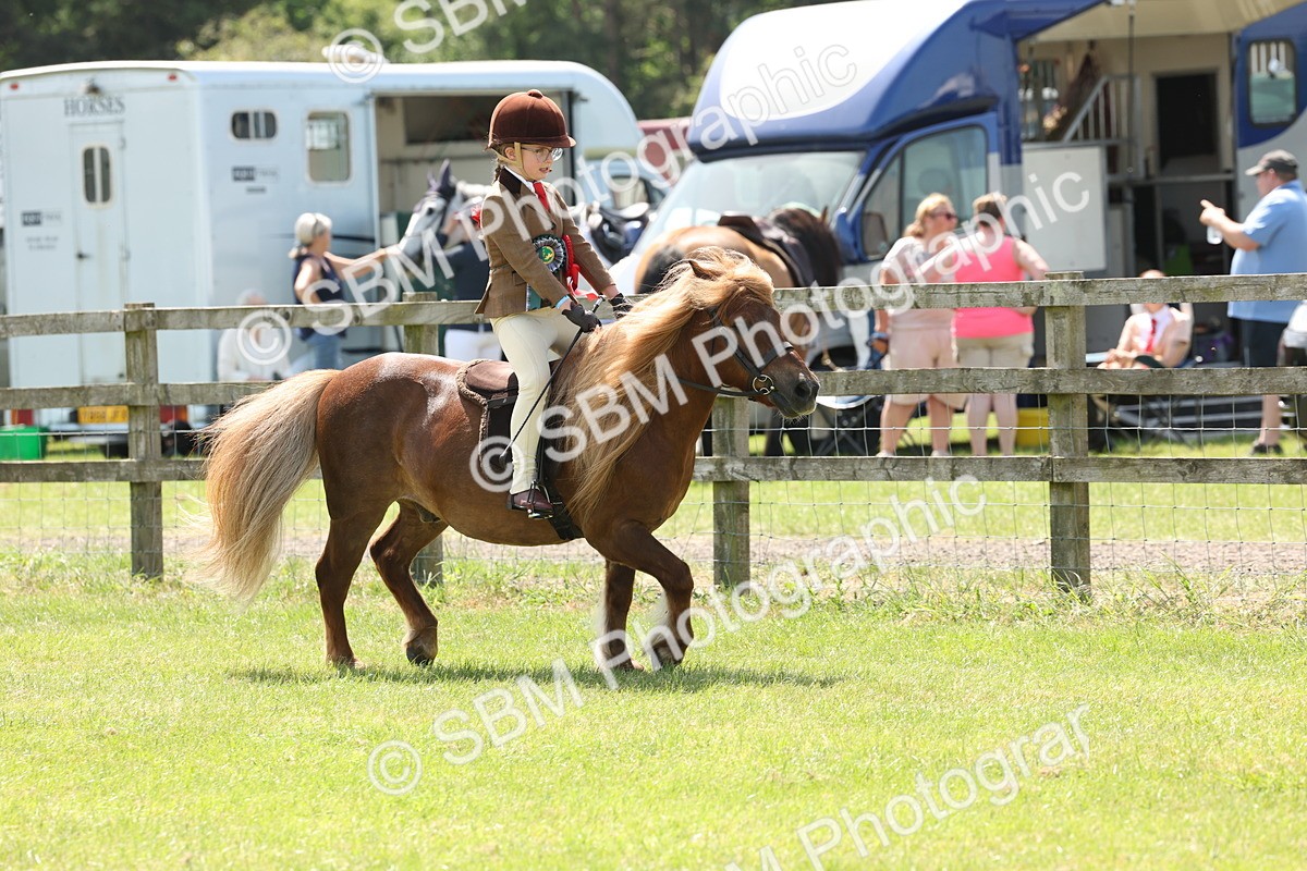 SBM_05368 - Class 24-25 - Mountain & Moorland In Hand Lead Rein and First Ridden