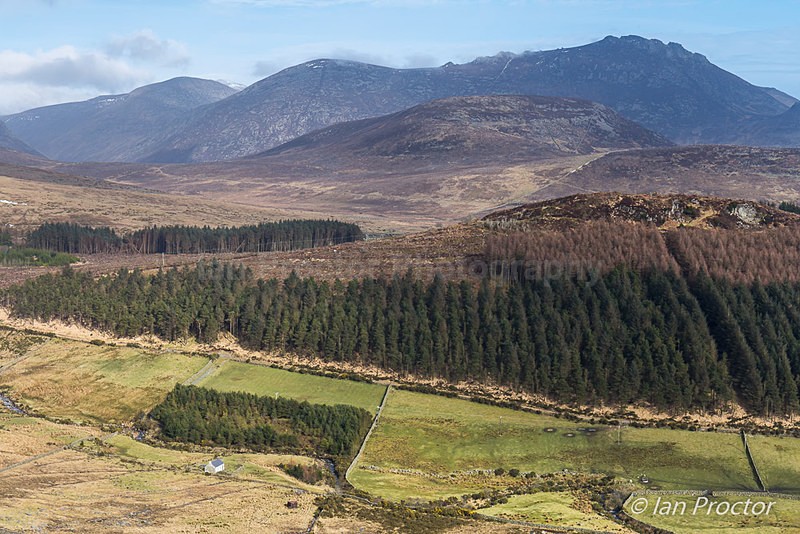 Crocknafeola Wood - Mourne Mountains - Mourne Mountains