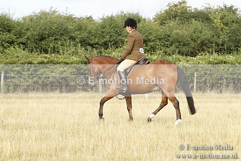 _BS_0419 - BVRC Show 2018 Ring 3