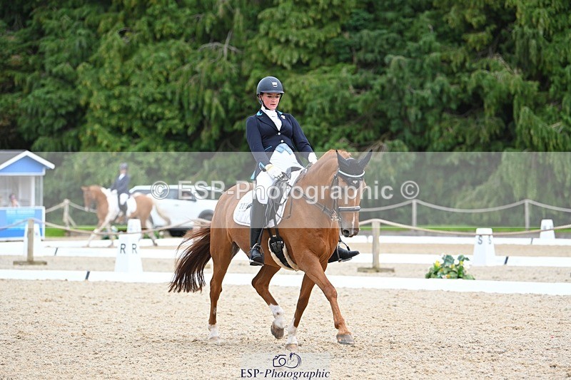 230813-133732-07609 - Cls 13 Medium Bronze 13.15 to End