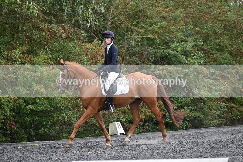 WJ7_6651 - Time 14:49 to 15:14