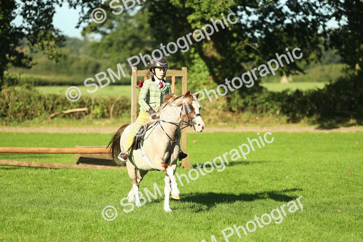 SBM_36361 - S29 - Novice & Newcomers Working Hunter Pony