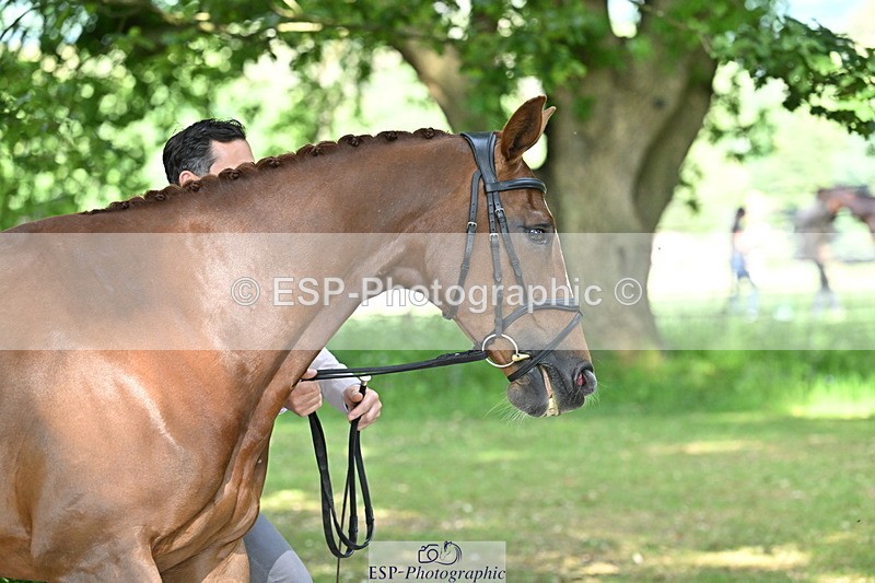 250521A-164154-01288 - C-254-Alexander.Bragg-SHANNONDALE.ARVA