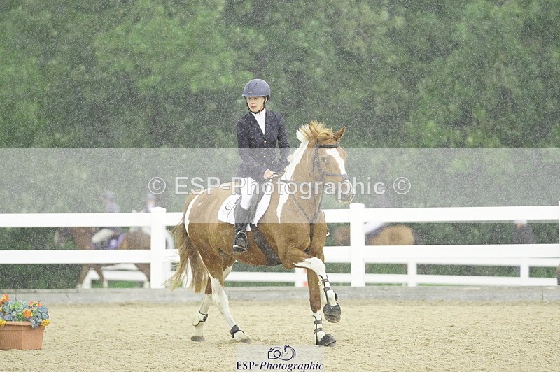 230729A-100148-04515 - Cls 20 British Novice & 90cm Open