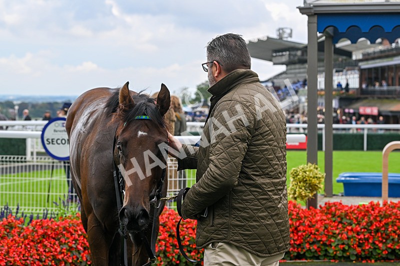 240924-Race 3-Nala Star-6150 - Race 3