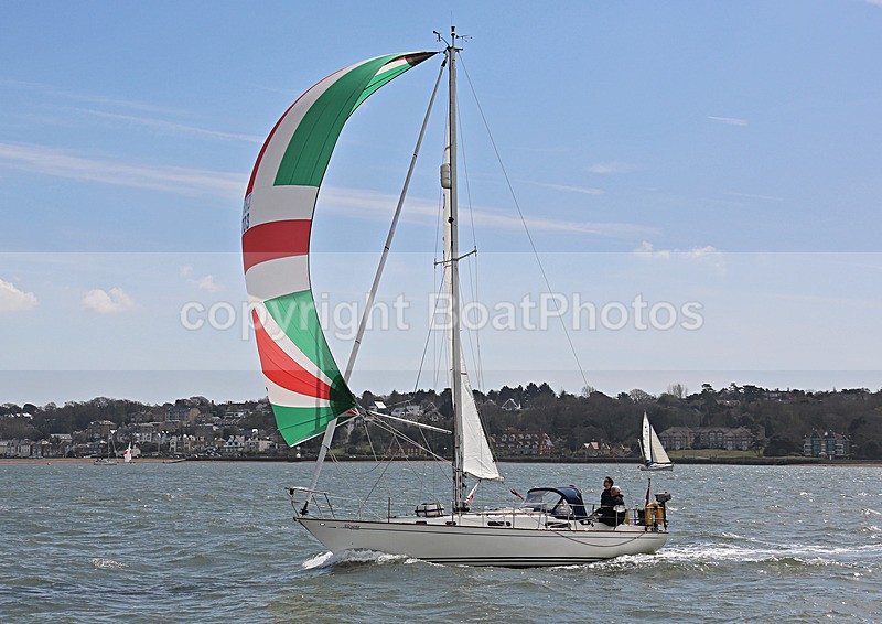 130421 ALCYONE GBR703 WT7A6356 - 130421 ALCYONE GBR703