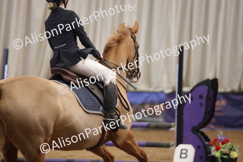 20260314-3795 - 80cm