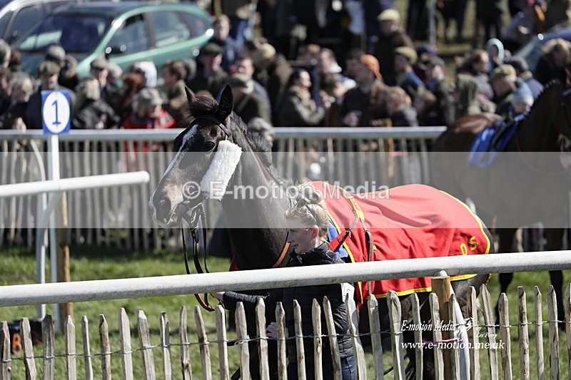 PtP 100423 559 - Old Berkshire Point-to-Point Lockinge 10/04/23