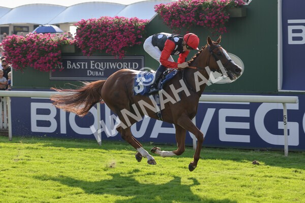 yr05092021r5-21 - Race 5 4.20pm Little Green Rascals Children's Nurseries Stakes