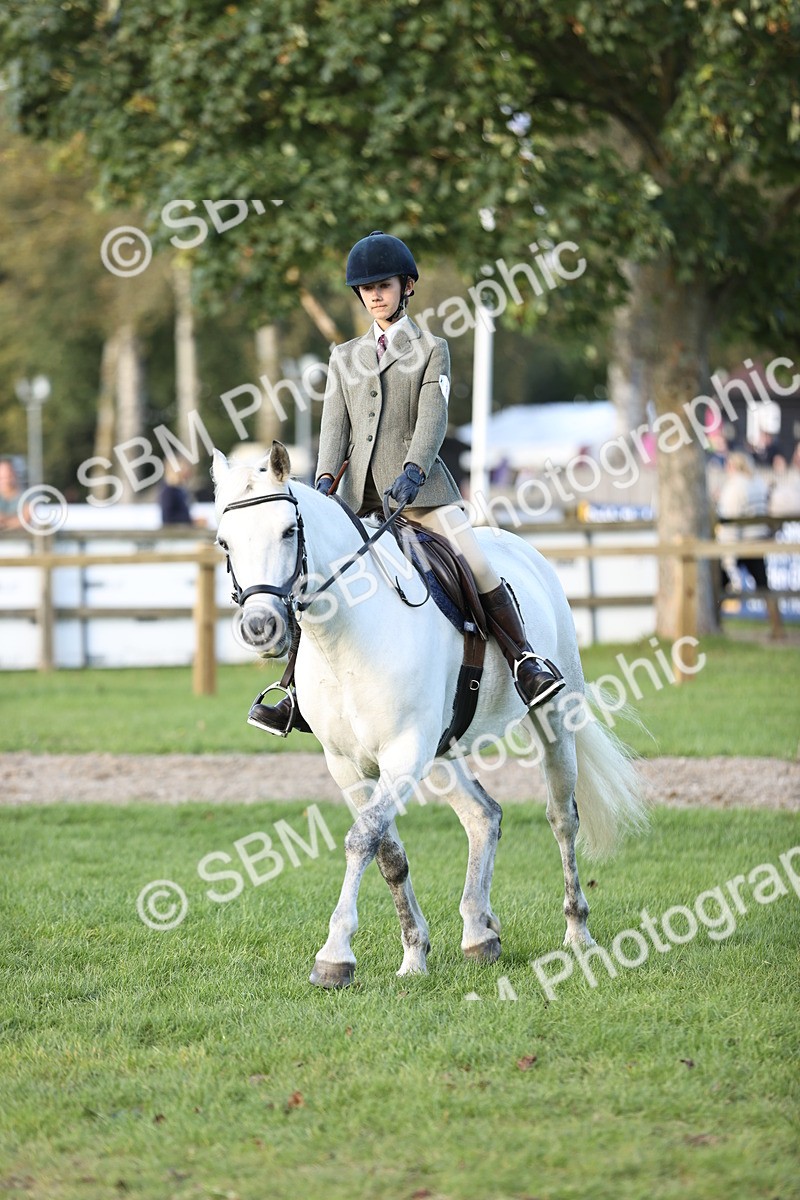 SBM_29568 - S7 - Novice & Newcomers Ridden Pony