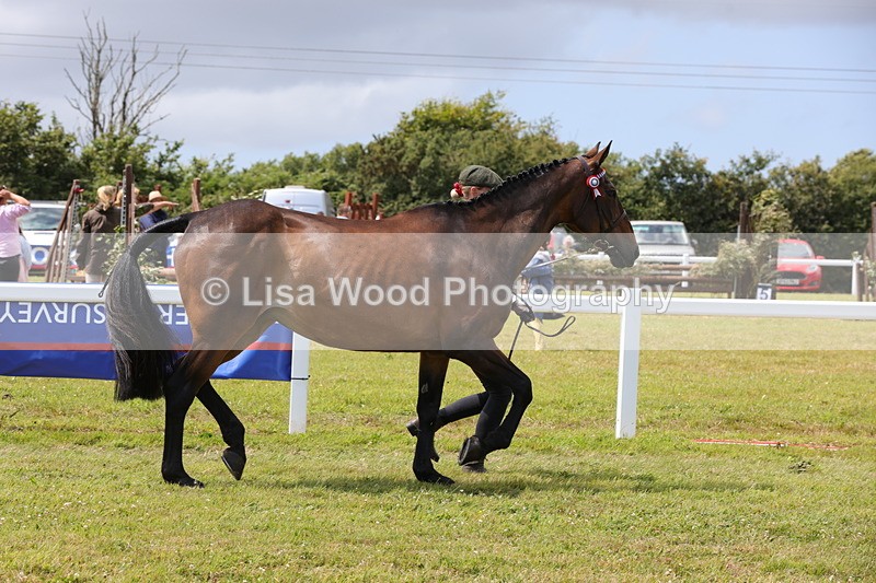 1X9A4889 - Class 35: Veteran In Hand