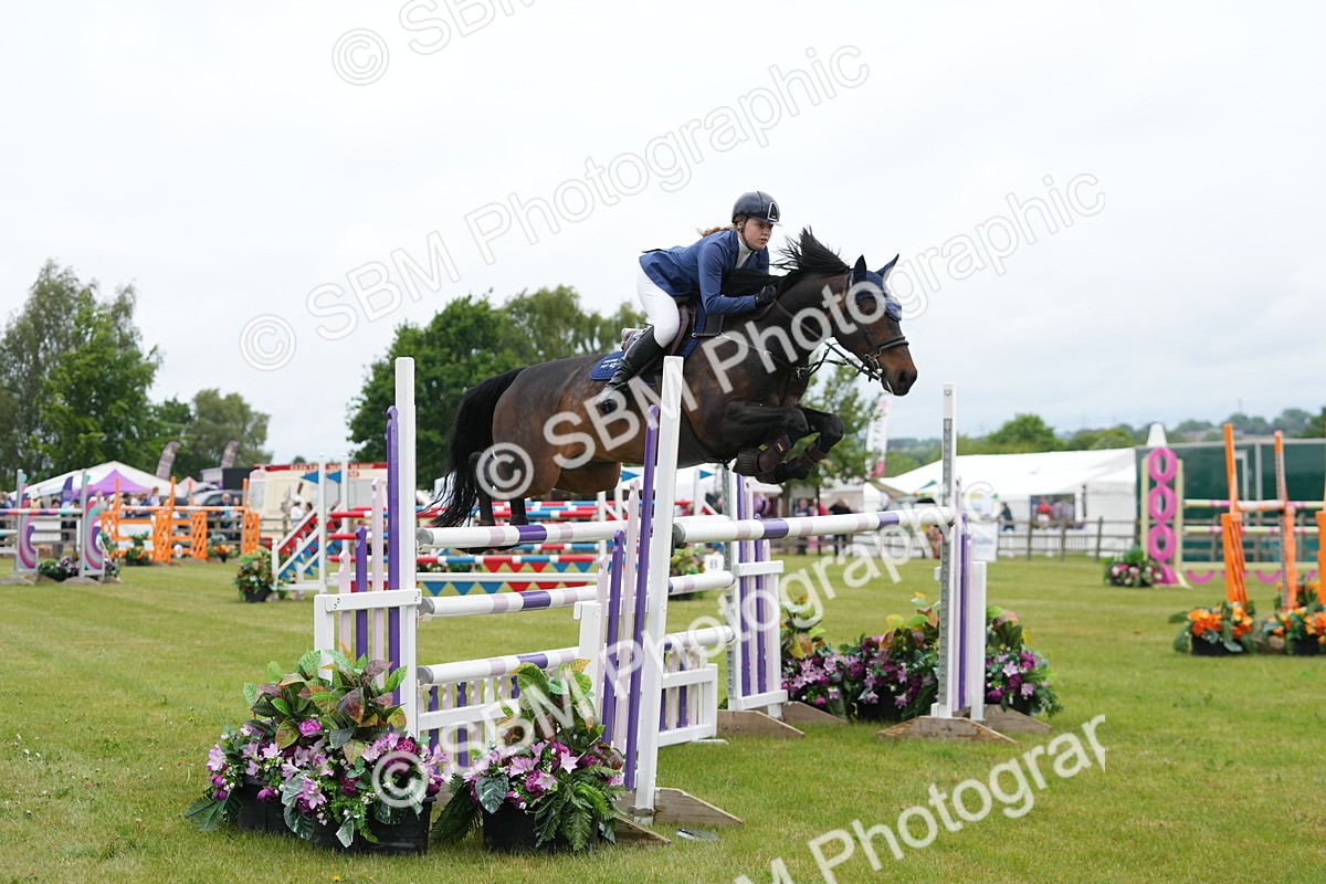 SBM_03037 - Class 201 - British Horse Feeds Speedi Beet Horse of the Year Show Grade  C