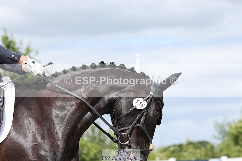 240622A-122931-09243 - Cls 30 BD Elementary 53