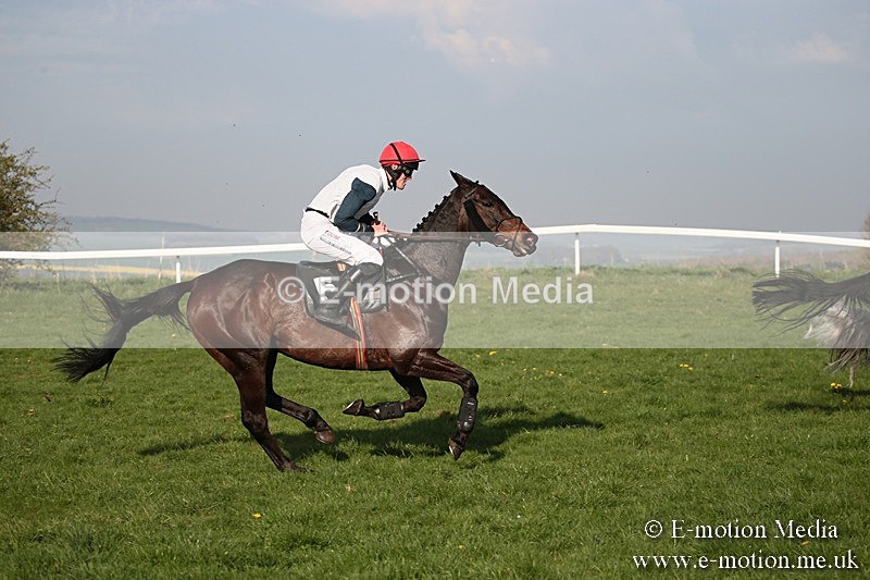 PtP 210418 623 - South & West Wilts Point-to-Point Larkhill 21/04/18